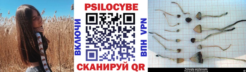 Галлюциногенные грибы ЛСД  Купить  Томилино 