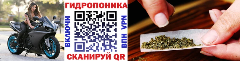 Марихуана SATIVA & INDICA  Купить закладки  Томилино 